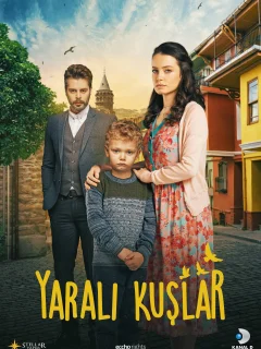 Раненые птицы / Yarali Kuslar (Турецкий сериал 2019) смотреть онлайн бесплатно