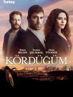 Узел / Kördügüm (Турецкий сериал 2016) смотреть онлайн бесплатно